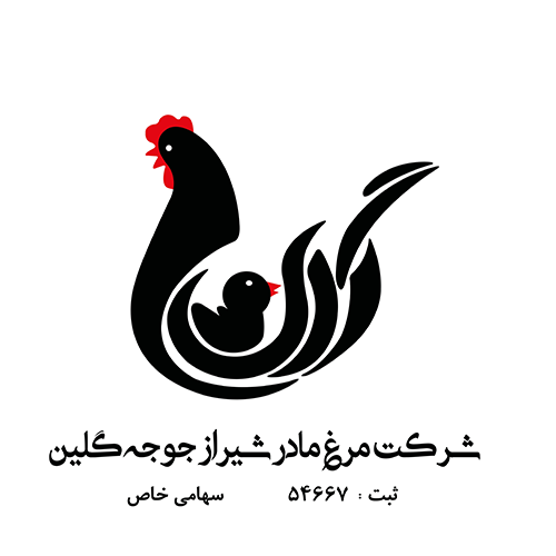 مرغ مادر شیراز جوجه گلین 