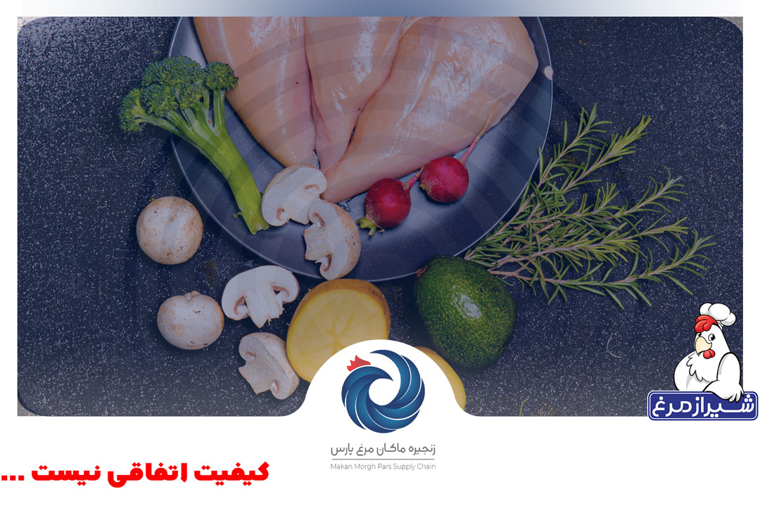 نکات مهم نگهداری مرغ تازه برای حفظ کیفیت با زنجیره ماکان مرغ پارس (شیرازمرغ)